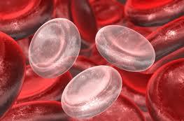 anemia.jpg